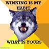 Winning Is My Habit