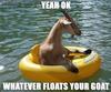 Whatever floats your goat.