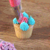 A special cupcake
