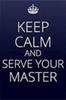serve master