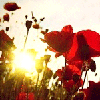 a Beautiful  morning