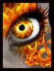 I See The Fire In Your Eyes.....