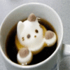 coffee for a sweet pet