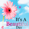 Beautiful day wishes