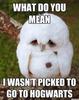 Aaaaaw!!! :'(