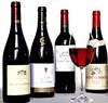 Selection of Red wines For You
