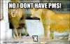 NO I DONT HAVE PMS