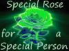 Special Rose for Special Person