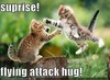 Attack Hug! 