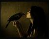 a ravens kiss