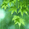 a relaxing rainy day 