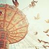 a Day at the amusement park