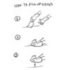 Guide to picking up chicks