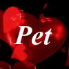 Love And Adore My Pet