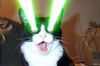 Kitty lasers