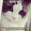 Pet Me!