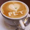 Coffee For My Pet