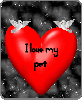 Love For My Pet