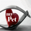 Love For My Pet