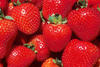 donation strawberries