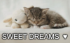 Sweet dreams  ♥ ♥ ♥