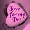 Love for my pet