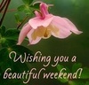 Wishing U a Beautiful Weekend