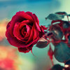 For Someone Special &lt;3