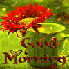 Wishing you a good morning
