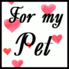 Love my pet