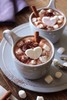 A hot cocoa 🌰