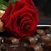 chocolate and roses