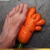 A Healthy Foot Fetish (Licks)