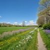 Lets go for a walk...