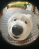 HELLO Anybody HOME!