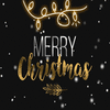 Have A Very Merry Christmas!