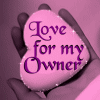 I Love My Owner