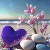 Love, Light &amp; Happiness