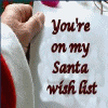 You Made My Santa's Wish List