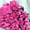 A Bouquet of Roses For You 