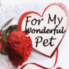 Love For My Wonderful Pet 