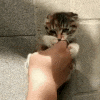 *tickle attack*