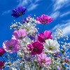 Blue skies to Brighton your day 