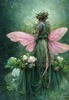 Of fairies and Roses