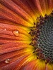 Sweet Soul Symmetry