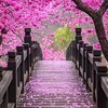 The Path To Happiness