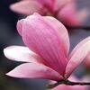Beautiful Day Wishes