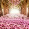 Delight &amp; Wonder