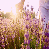 Sunshine &amp; Joy For Your Day