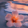 Peace &amp; Tranquility